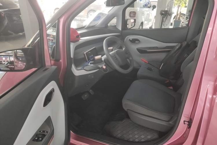 Used Baojun E200 2020 305KM Smart Drive Version Left Front Seat