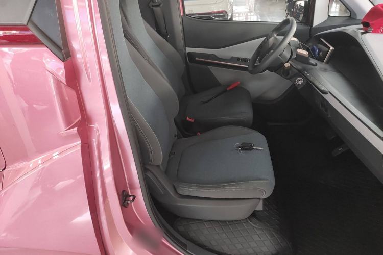 Used Baojun E200 2020 305KM Smart Drive Version Right Front Seat