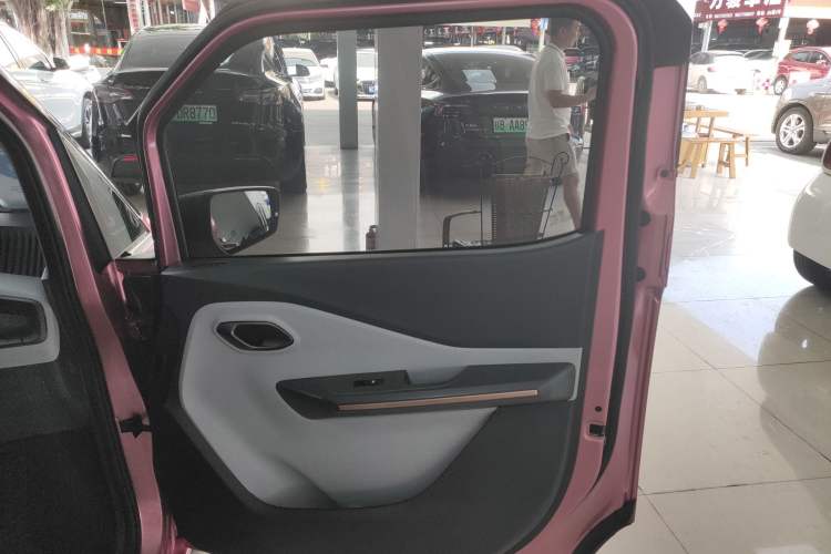 Used Baojun E200 2020 305KM Smart Drive Version Right Rear Door Interior