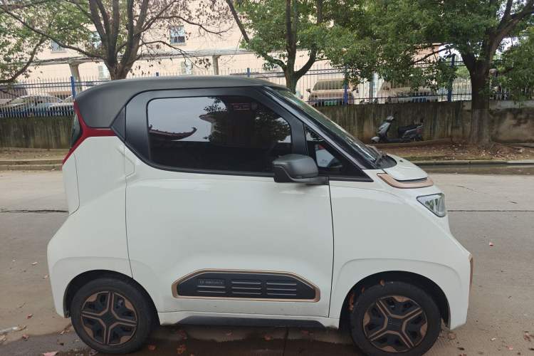 Used Baojun E200 2020 305KM Smart Drive Version Exterior 2