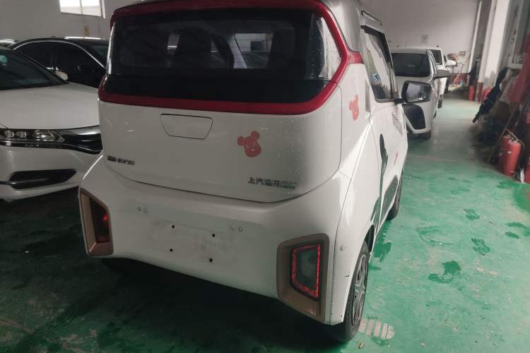 Used Baojun E200 2020 305KM Smart Drive Version Exterior 5