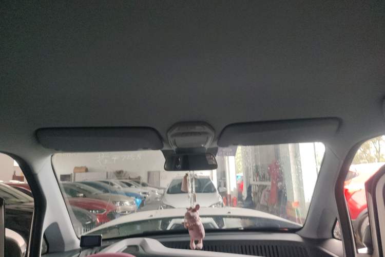 Used Baojun E200 2020 305KM Smart Drive Version Headliner