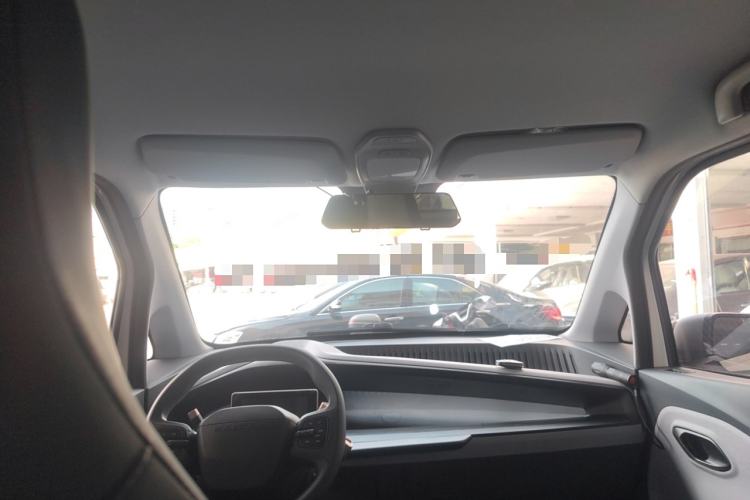 Used Baojun E200 2020 305KM Smart Drive Version Headliner
