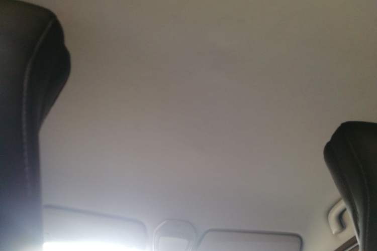 Used Baojun E200 2020 305KM Smart Drive Version Headliner