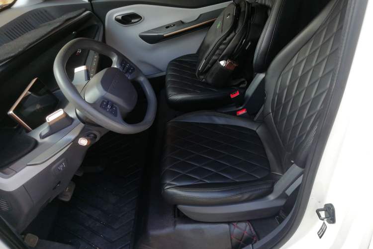 Used Baojun E200 2020 305KM Smart Drive Version Left Front Seat