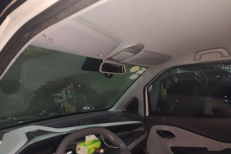 Used Baojun E200 2018 Intelligent Driving Edition Headliner