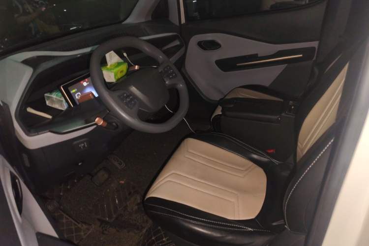 Used Baojun E200 2018 Intelligent Driving Edition Left Front Seat
