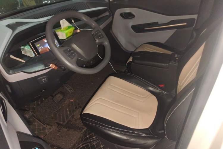 Used Baojun E200 2018 Intelligent Driving Edition Left Rear Seat