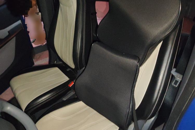 Used Baojun E200 2018 Intelligent Driving Edition Left Rear Seat