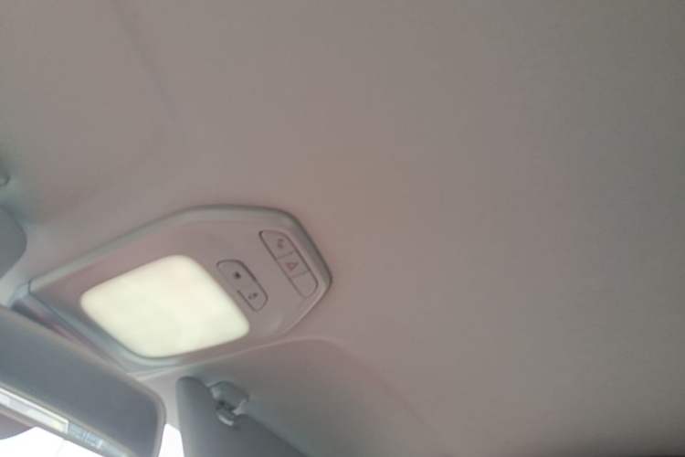 Used Baojun E200 2018 Smart Enjoy Edition Headliner