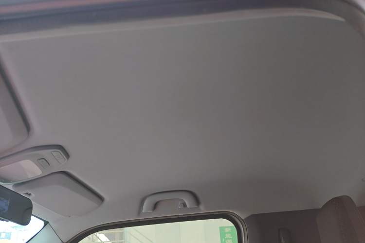 Used Baojun E200 2018 Smart Enjoy Edition Headliner