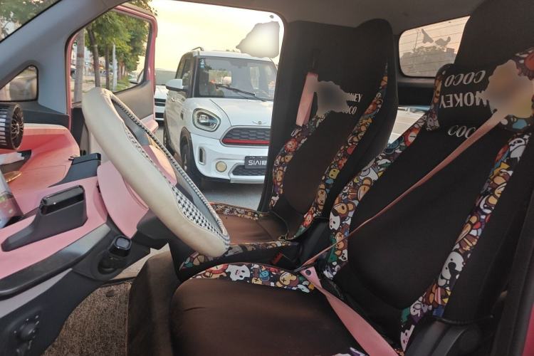 Used Baojun E200 2018 Smart Enjoy Edition Left Front Seat