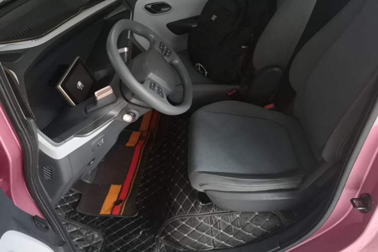 Used Baojun E200 2018 Intelligent Driving Edition Left Front Seat