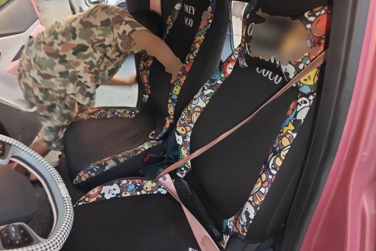 Used Baojun E200 2018 Smart Enjoy Edition Left Rear Seat