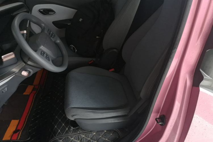 Used Baojun E200 2018 Intelligent Driving Edition Left Rear Seat