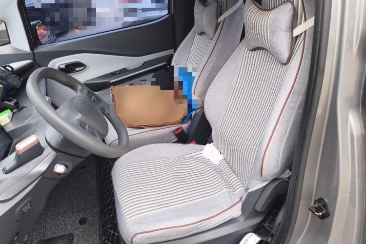 Used Baojun E200 2018 Intelligent Driving Edition Left Front Seat