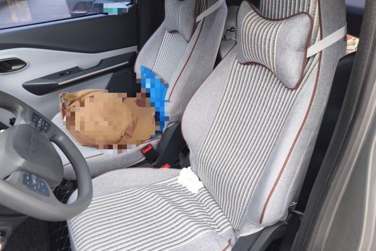 Used Baojun E200 2018 Intelligent Driving Edition Left Rear Seat