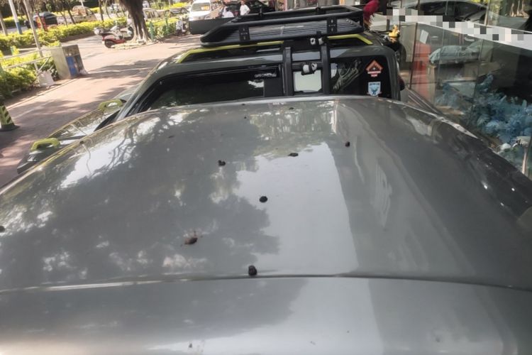 Used Baojun E200 2018 Intelligent Driving Edition Roof
