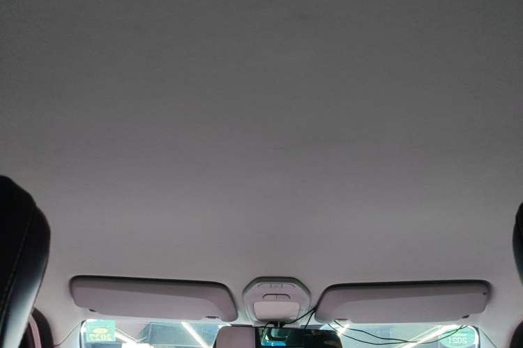 Used Baojun E200 2018 Intelligent Driving Edition Headliner