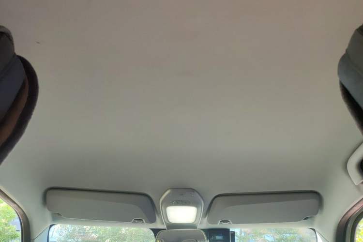 Used Baojun E200 2018 Intelligent Driving Edition Headliner