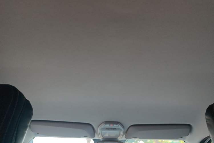 Used Baojun E200 2018 Intelligent Driving Edition Headliner