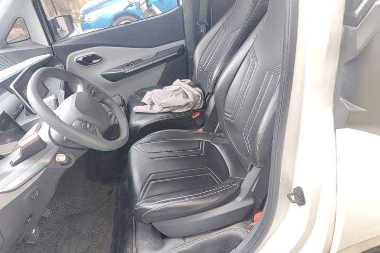 Used Baojun E200 2018 Intelligent Driving Edition Left Front Seat