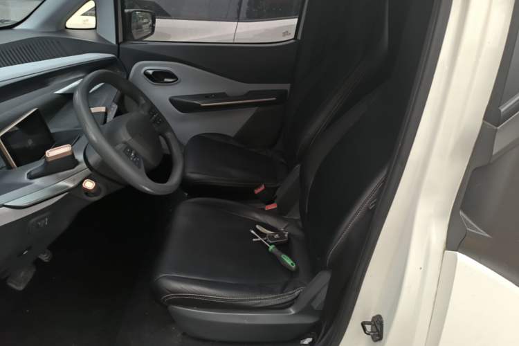 Used Baojun E200 2018 Intelligent Driving Edition Left Front Seat