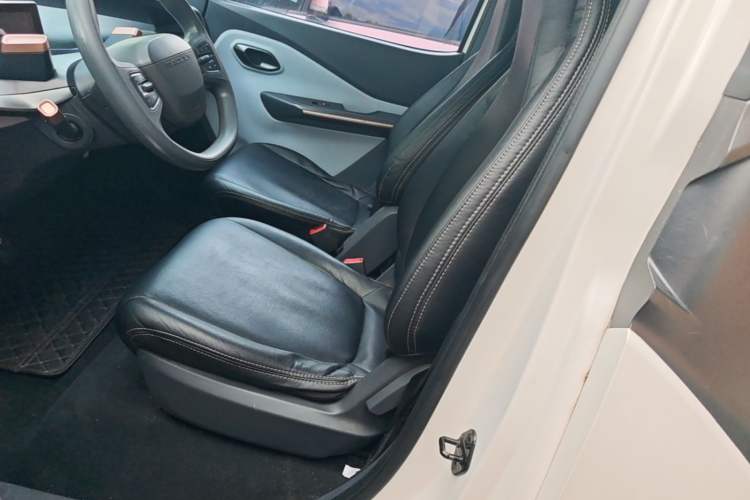 Used Baojun E200 2018 Intelligent Driving Edition Left Front Seat