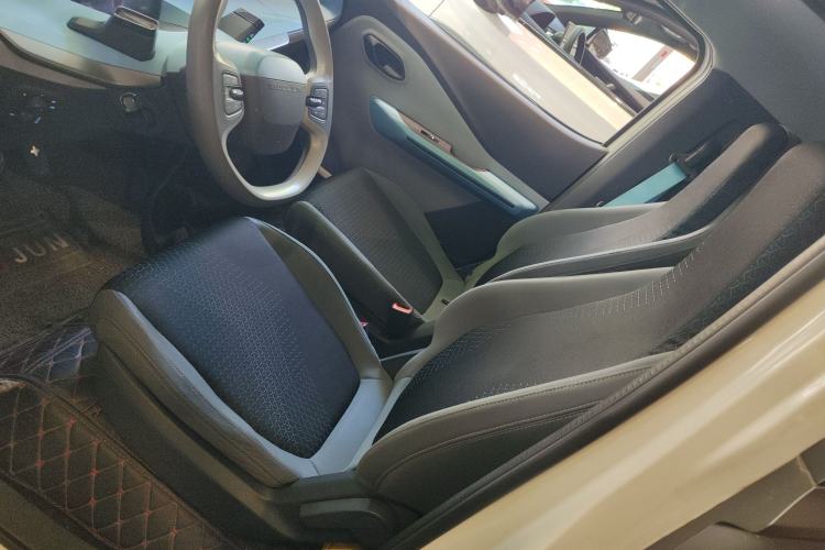 Used Baojun E200 2018 Smart Enjoy Edition Left Front Seat