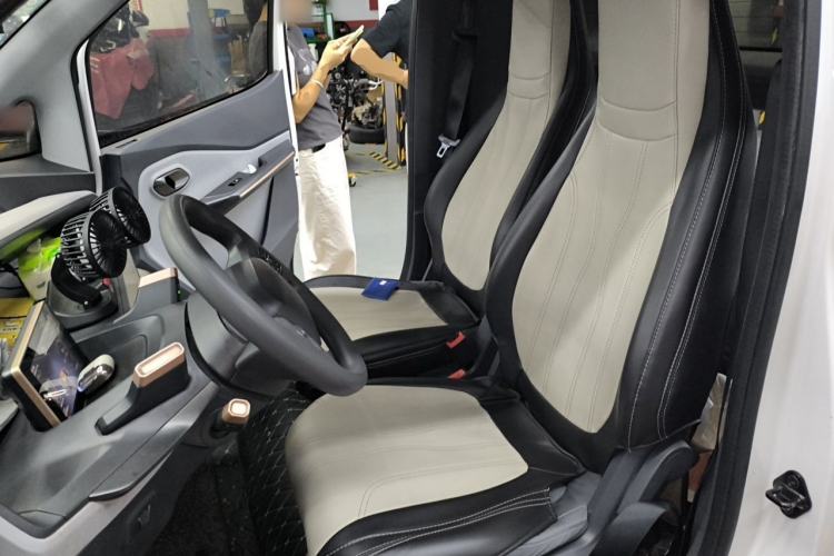 Used Baojun E200 2018 Intelligent Driving Edition Left Front Seat