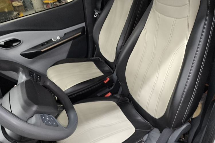Used Baojun E200 2018 Intelligent Driving Edition Left Rear Seat