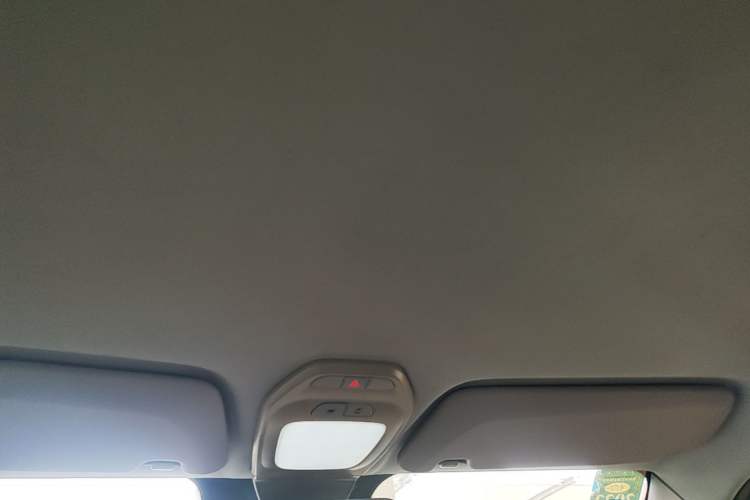 Used Baojun E200 2019 250KM Smart Drive Edition Headliner