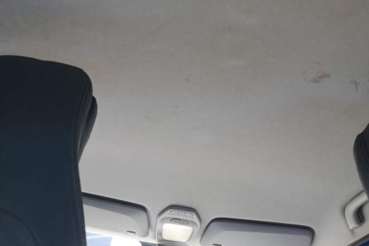 Used Baojun E200 2019 250KM Smart Drive Edition Headliner