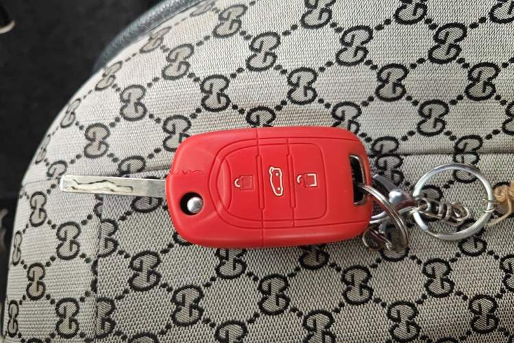 Used Baojun E200 2019 250KM Smart Drive Edition Vehicle Key