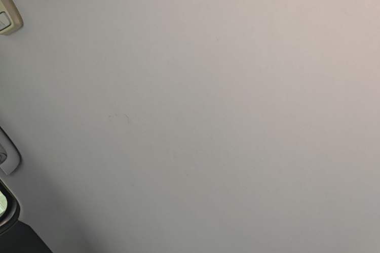 Used Baojun E200 2019 250KM Smart Drive Edition Headliner