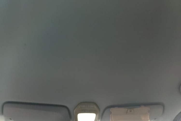 Used Baojun E200 2019 250KM Smart Drive Edition Headliner