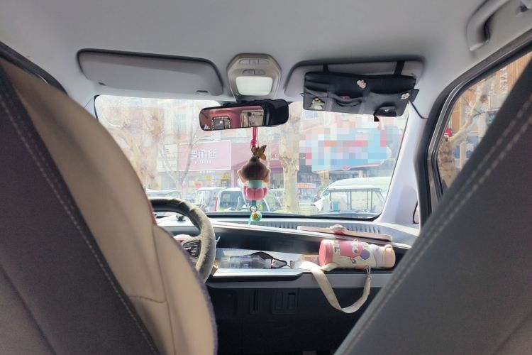 Used Baojun E200 2019 250KM Smart Drive Edition Headliner