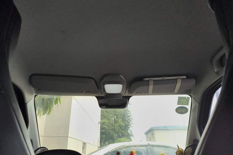 Used Baojun E200 2019 250KM Smart Drive Edition Headliner