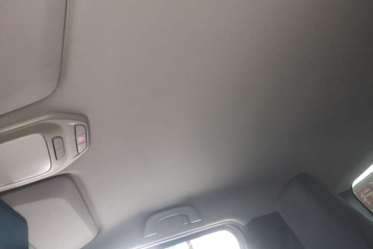 Used Baojun E200 2019 250KM Smart Drive Edition Headliner