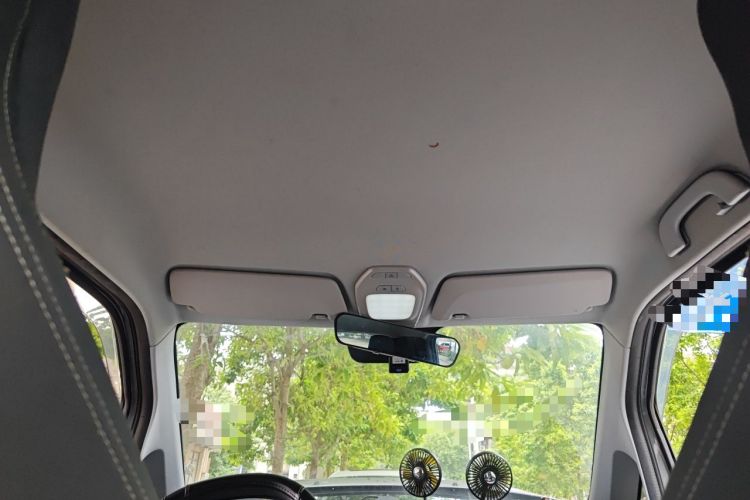 Used Baojun E200 2019 250KM Smart Drive Edition Headliner