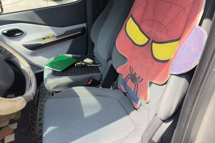Used Baojun E200 2019 250KM Smart Drive Edition Left Rear Seat