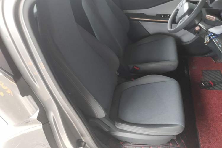 Used Baojun E200 2019 250KM Smart Drive Edition Right Front Seat