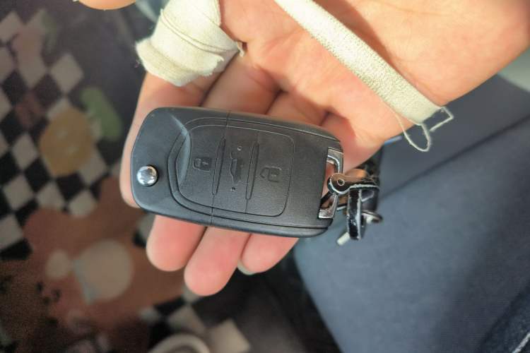 Used Baojun E200 2019 250KM Smart Drive Edition Vehicle Key