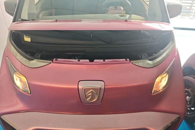 Used Baojun E200 2019 250KM Smart Enjoyment Version Engine Bay