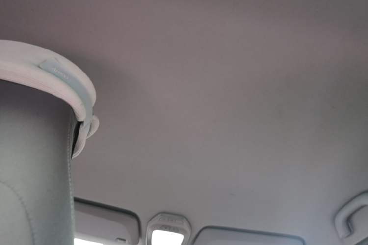Used Baojun E200 2019 250KM Smart Enjoyment Version Headliner