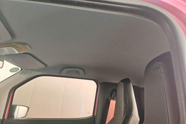 Used Baojun E200 2019 250KM Smart Enjoyment Version Headliner