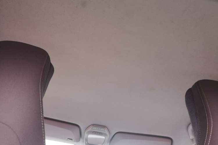 Used Baojun E200 2019 250KM Smart Drive Edition Headliner
