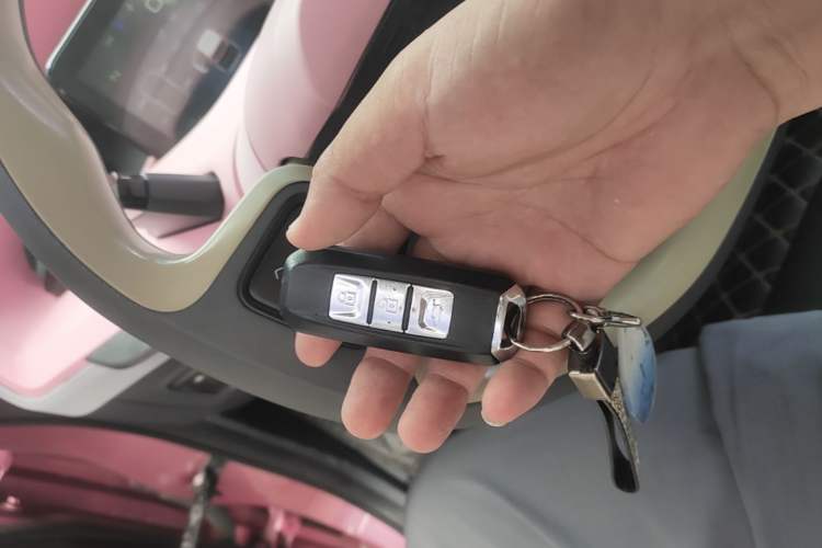 Used Baojun E200 2019 250KM Smart Enjoyment Version Interior 1