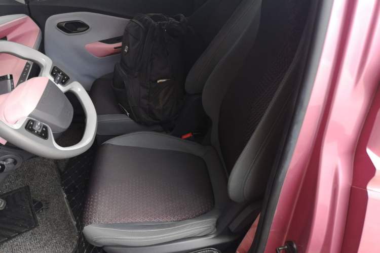 Used Baojun E200 2019 250KM Smart Enjoyment Version Left Rear Seat
