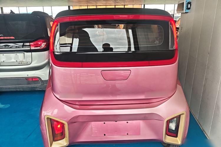 Used Baojun E200 2019 250KM Smart Enjoyment Version Rear